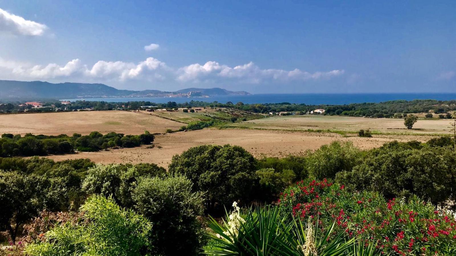 Villa La Vista Lumio (Corsica) Exterior foto